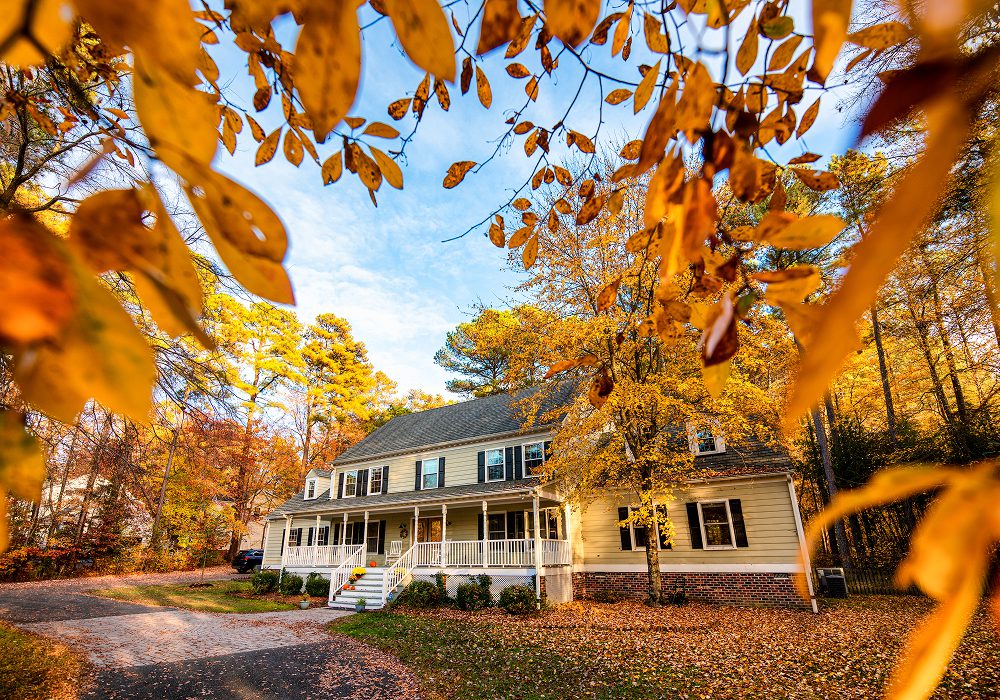 House in the woods surrounded by trees with yellow leaves on the ground