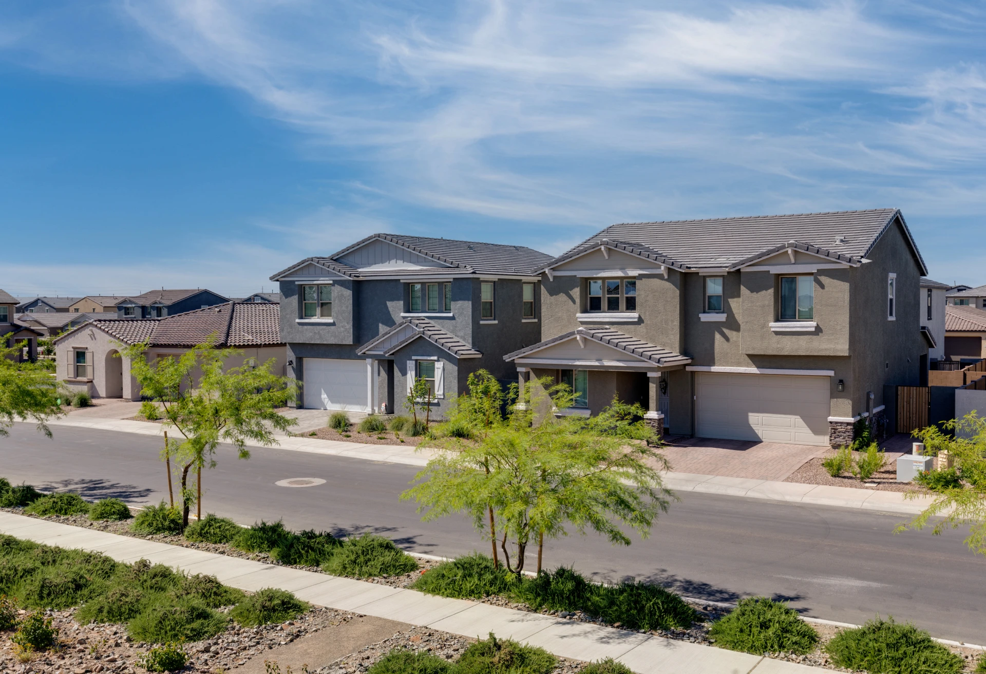 Row of townhouses in a residential neighborhood in Arizona, with trees, plants, and a road in the foreground